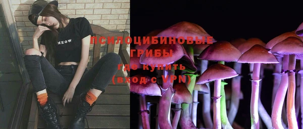 первитин Балахна