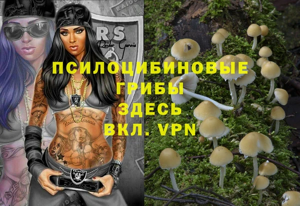 первитин Балахна