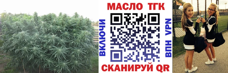 ТГК жижа Глазов