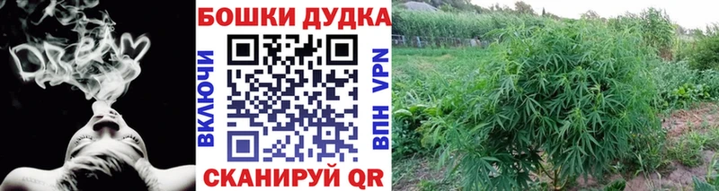 Бошки Шишки White Widow  Глазов 